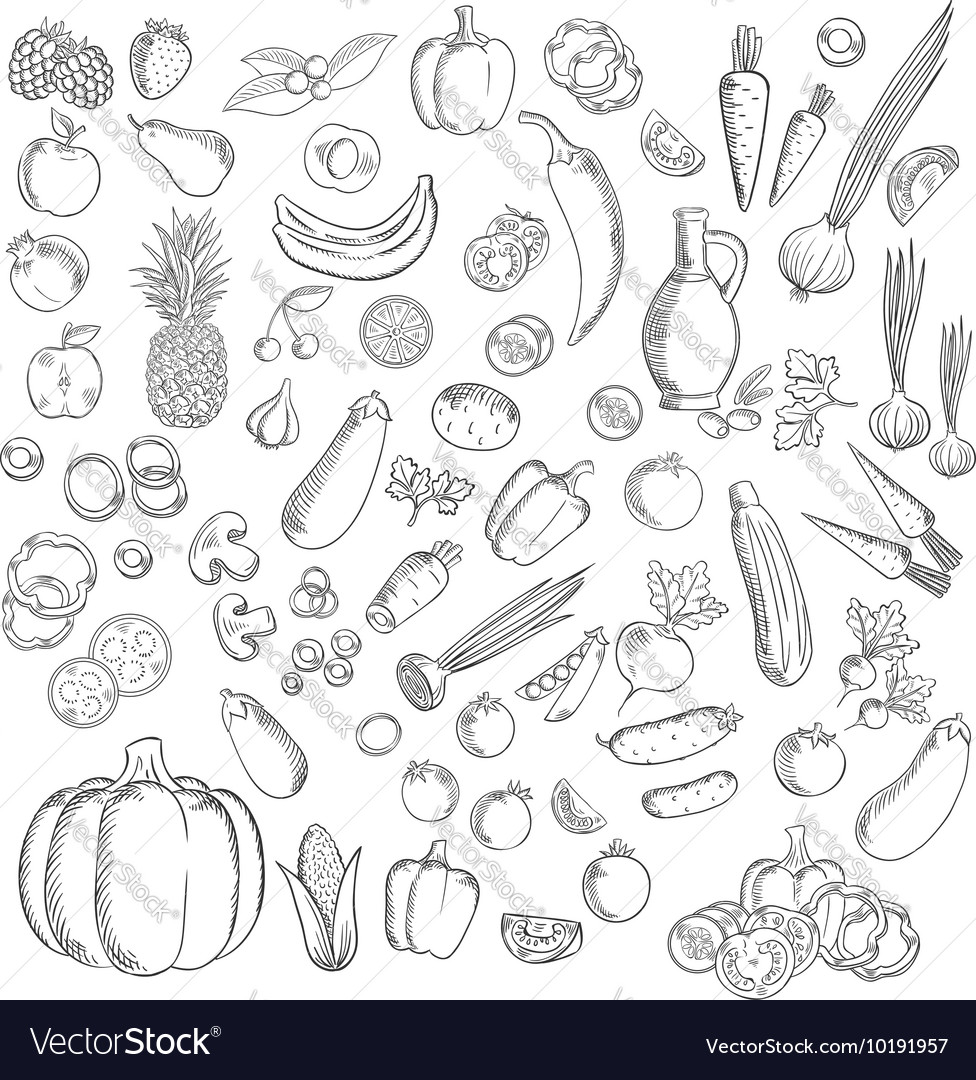 Fresh sketched fruits and vegetables icon Vector Image