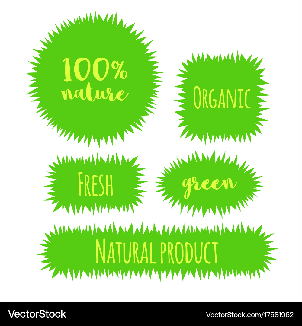 Flat Grass Banner Label Bubble Template Royalty Free Vector