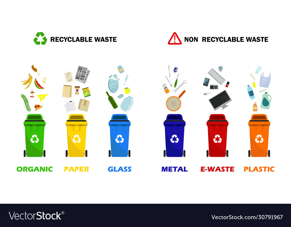 Containers for all types garbage Royalty Free Vector Image