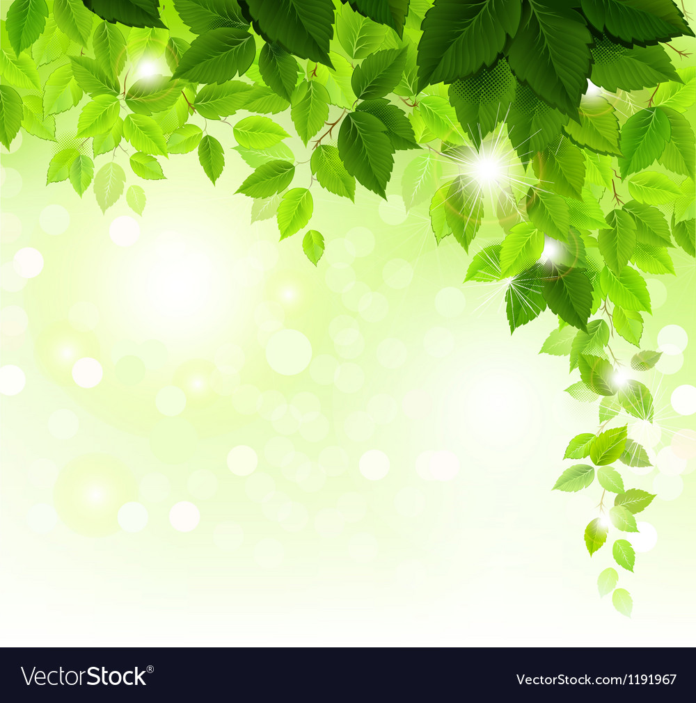 Green Leaved Green Leaves Royalty Free Vector Image Vectorstock Green Leaf Sugnauxswiss 6610