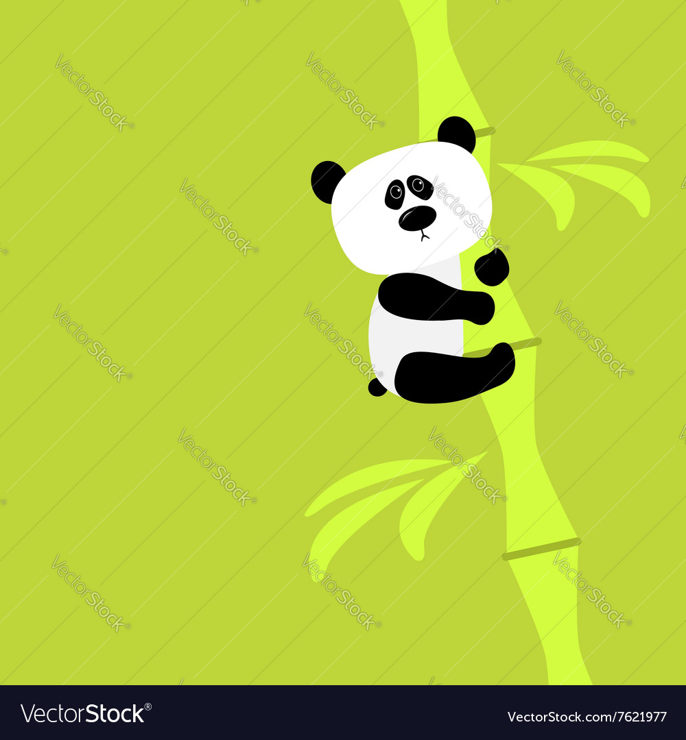 Cute panda on bamboo baby green background flat Vector Image