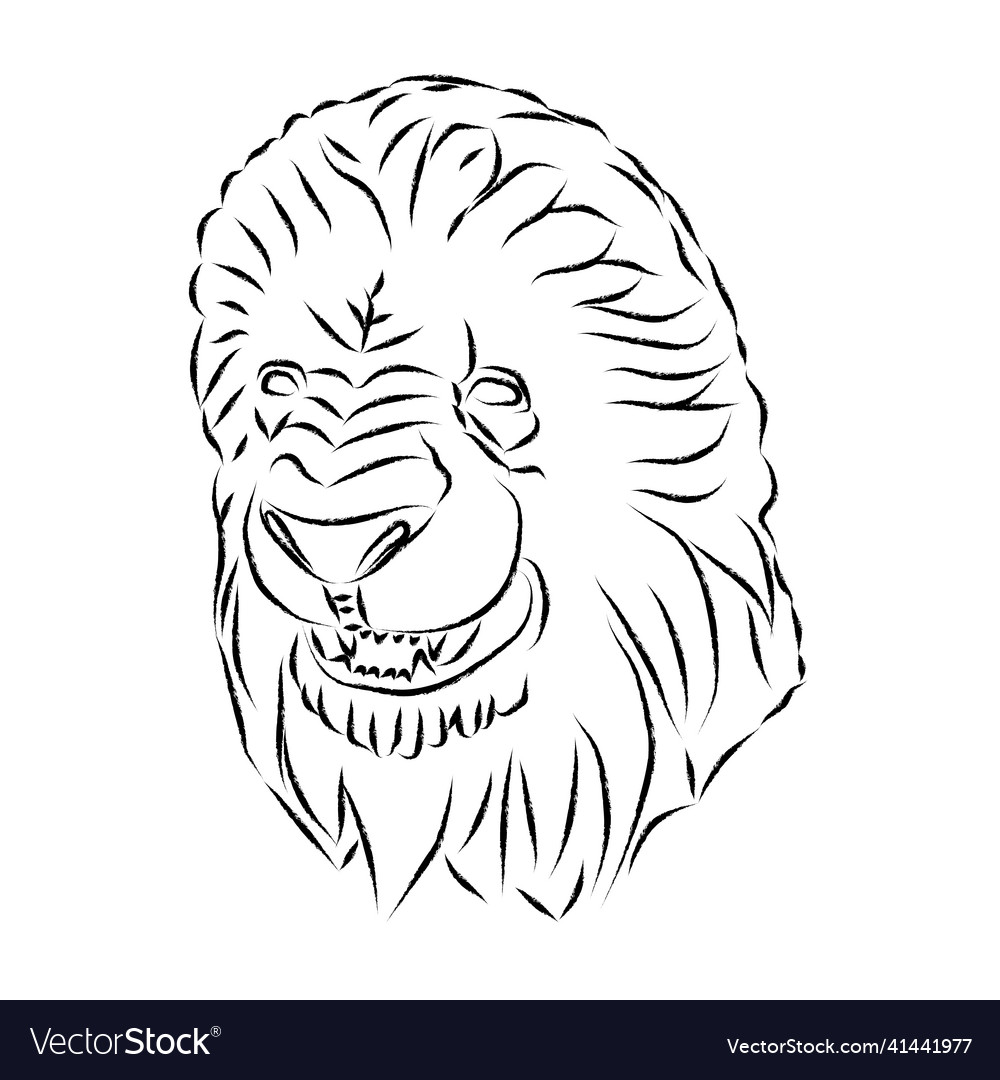 Lion head statue line art