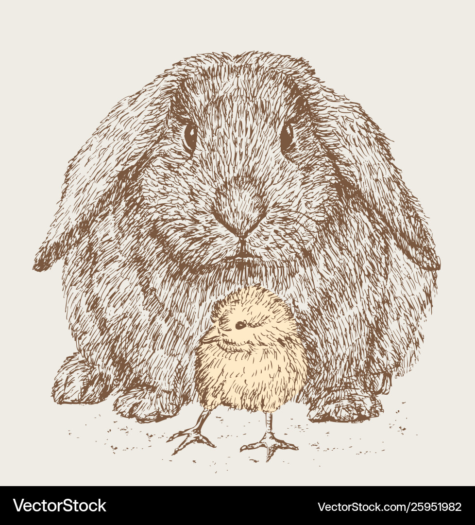 Rabbit Royalty Free Vector Image - VectorStock