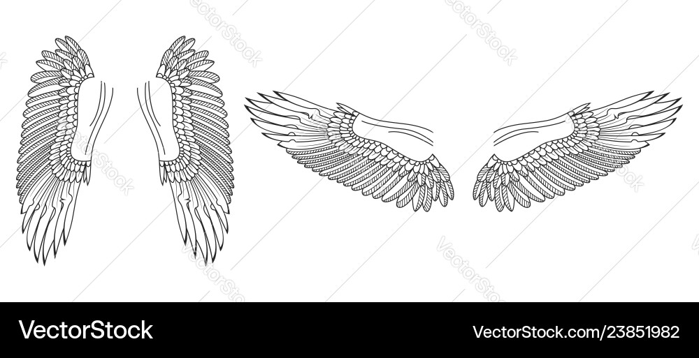 Wings Royalty Free Vector Image - VectorStock
