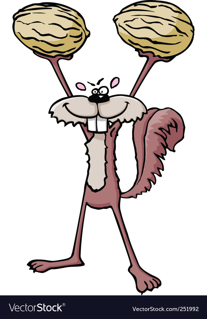 Squirrel with nuts Royalty Free Vector Image VectorStock