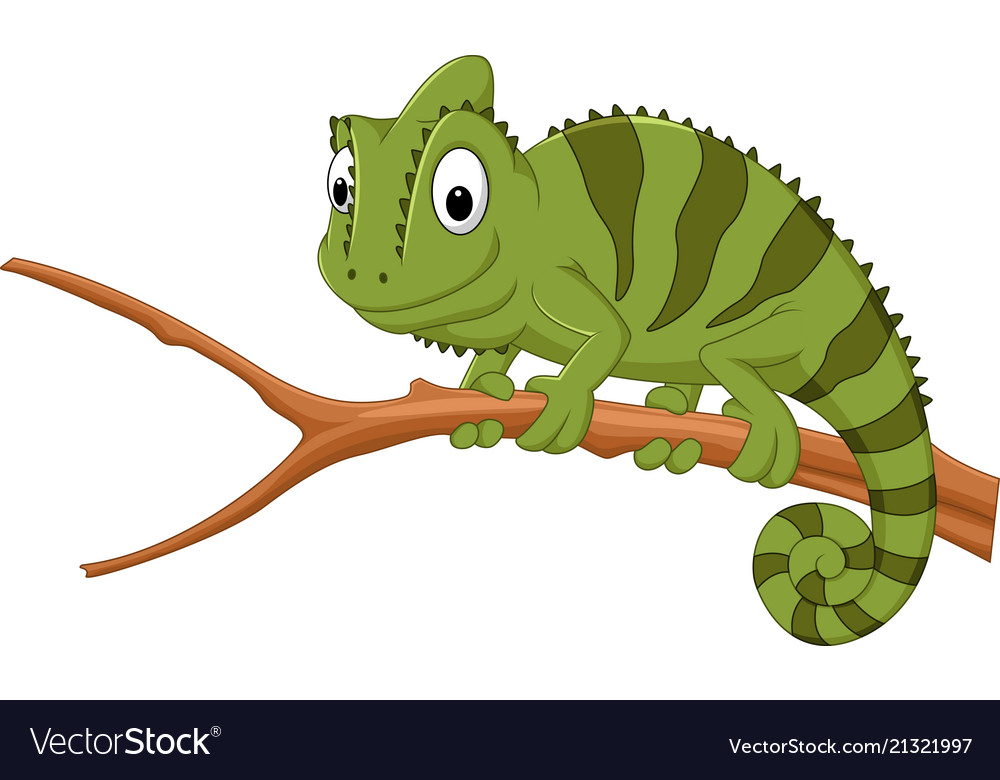 Cartoon chameleon on a branch Royalty Free Vector Image