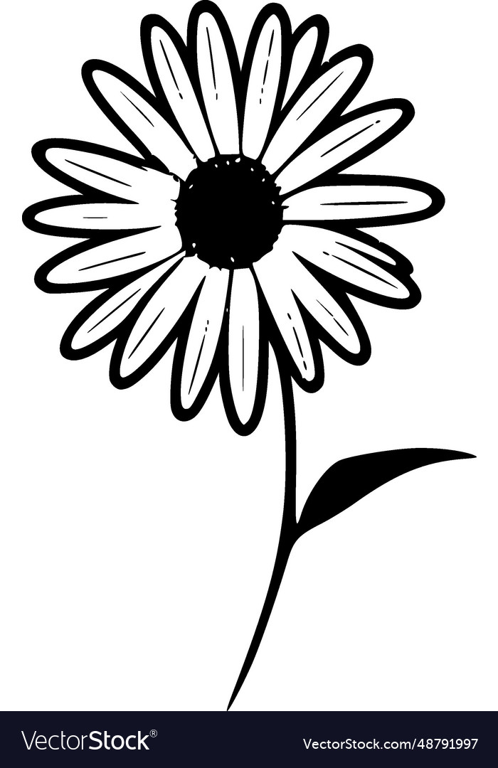 Daisy - black and white isolated icon Royalty Free Vector