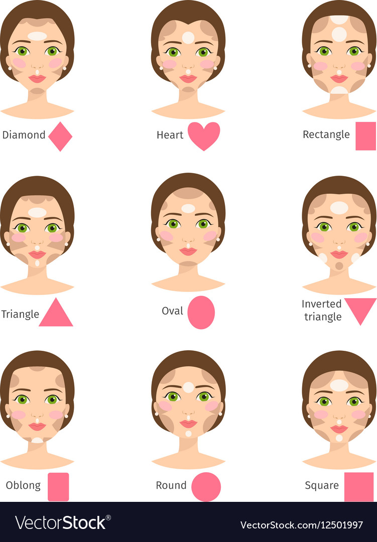 Set of different woman face types Royalty Free Vector Image