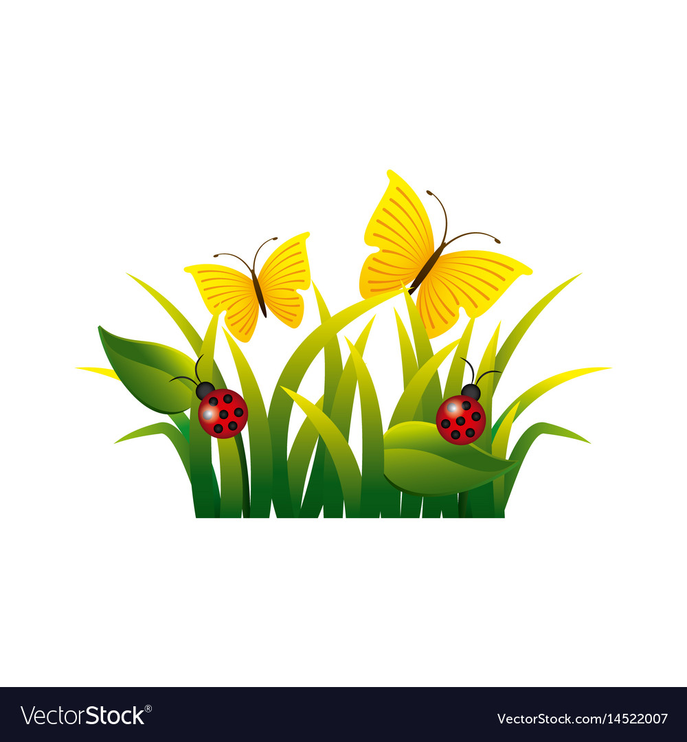 Garden flowers and butterflies Royalty Free Vector Image