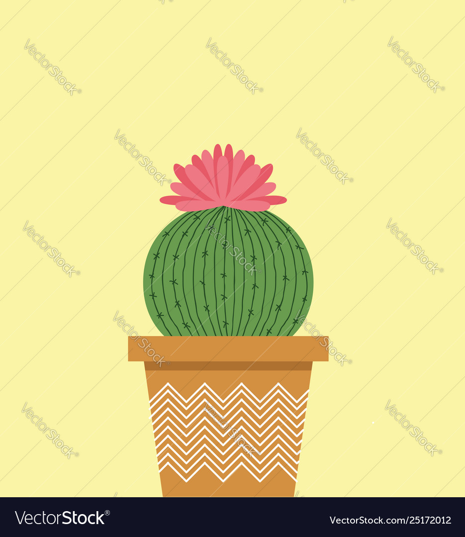 Free Vector, Coloured cactus collection