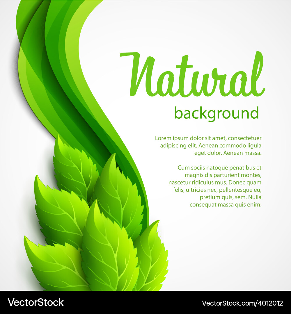 Natural background with green spring leaves Vector Image