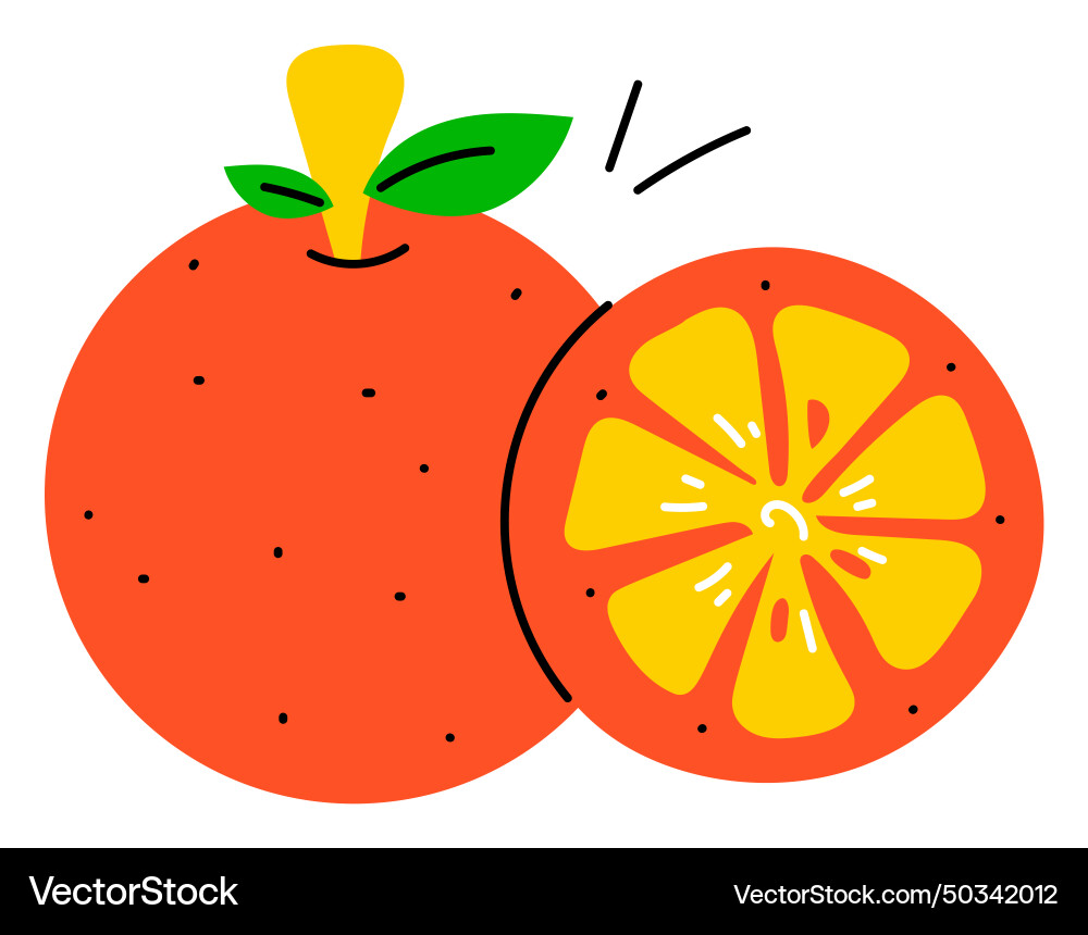 Orange fruit Royalty Free Vector Image - VectorStock