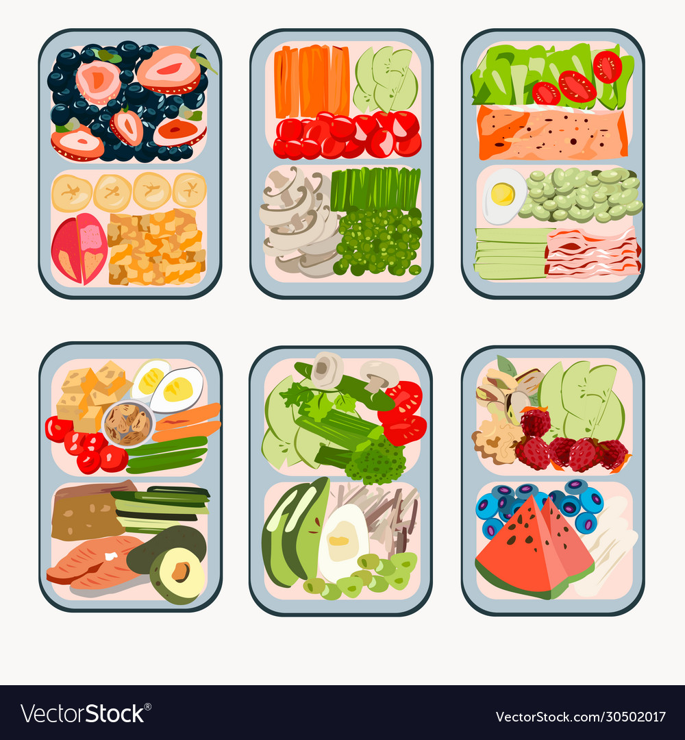 Lunchbox for proper nutrition or a healthy snack Vector Image