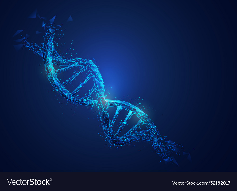 Polydna Royalty Free Vector Image - VectorStock