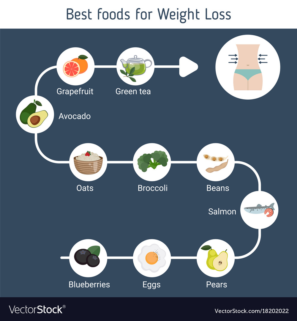 Best foods for weight loss Royalty Free Vector Image