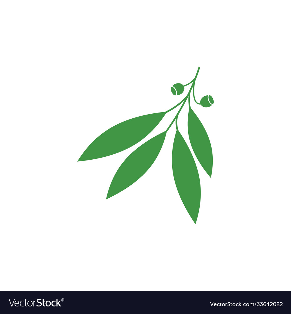 Eucalyptus leaves logo template design Royalty Free Vector