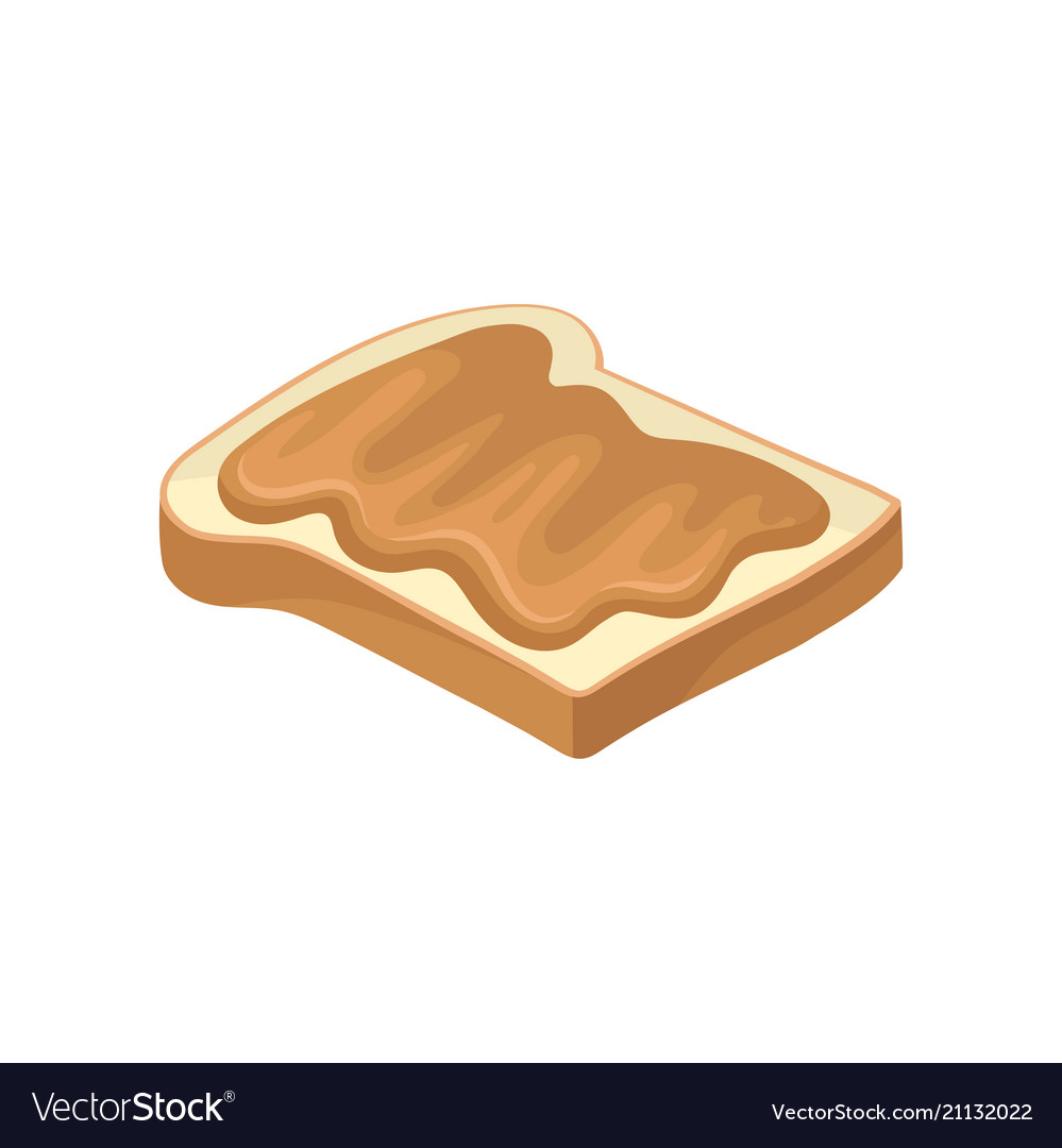 Sweet peanut butter on slice toasted bread Vector Image