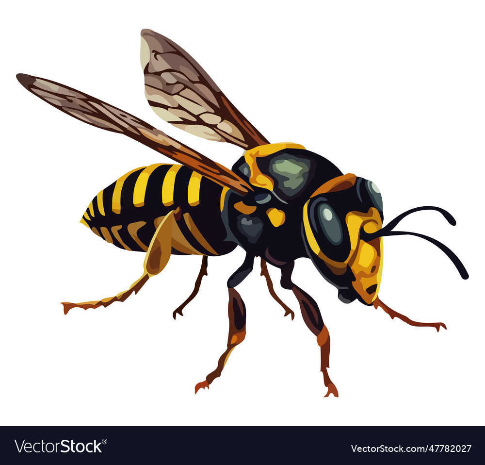 Busy bee pollinates Royalty Free Vector Image - VectorStock