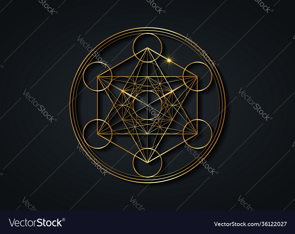 Metatrons cube flower life gold sacred geometry Vector Image