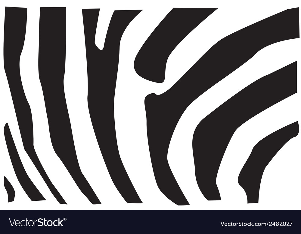 Zebra fur pattern Royalty Free Vector Image - VectorStock