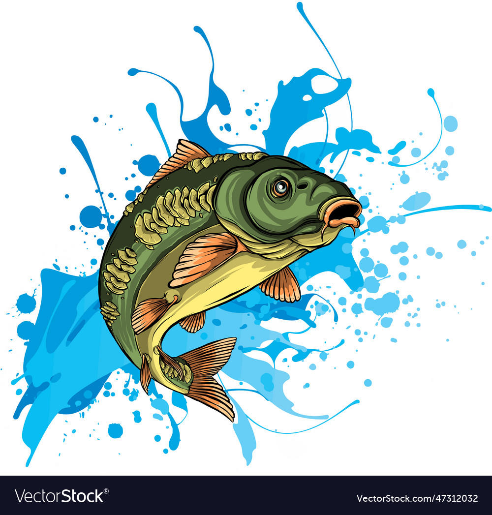 Carp fish common Royalty Free Vector Image - VectorStock