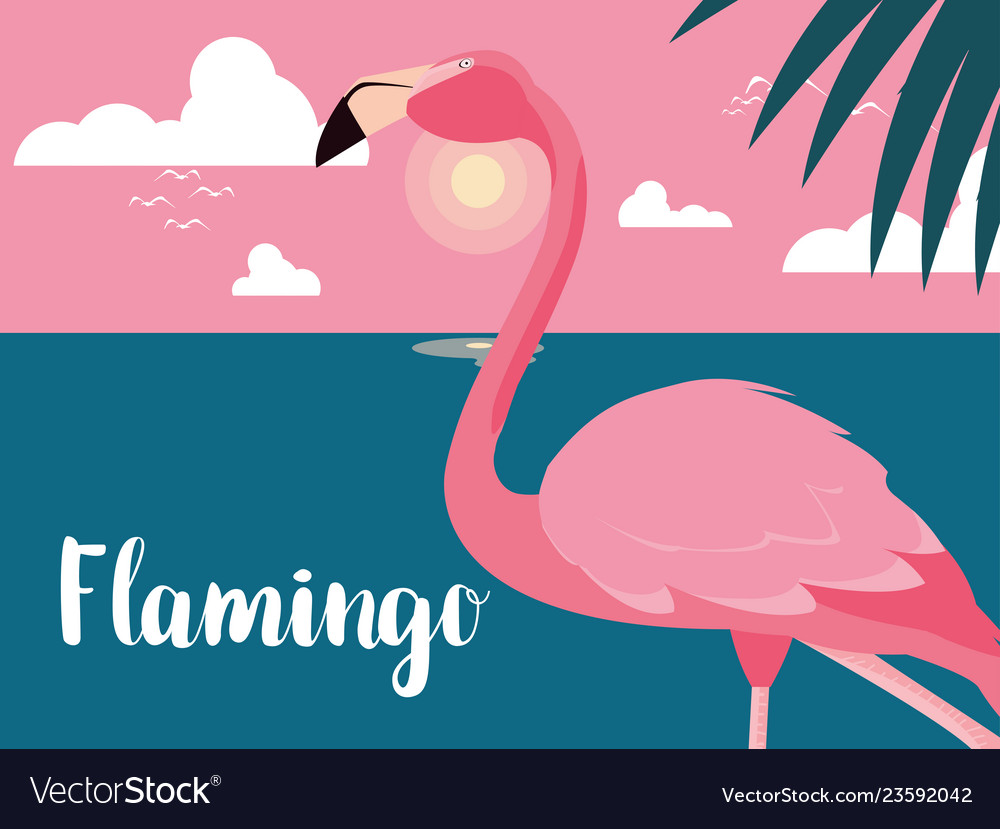 Beautiful flamingo bird stand in landscape Vector Image