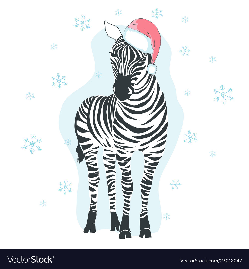 zebra with santa hat