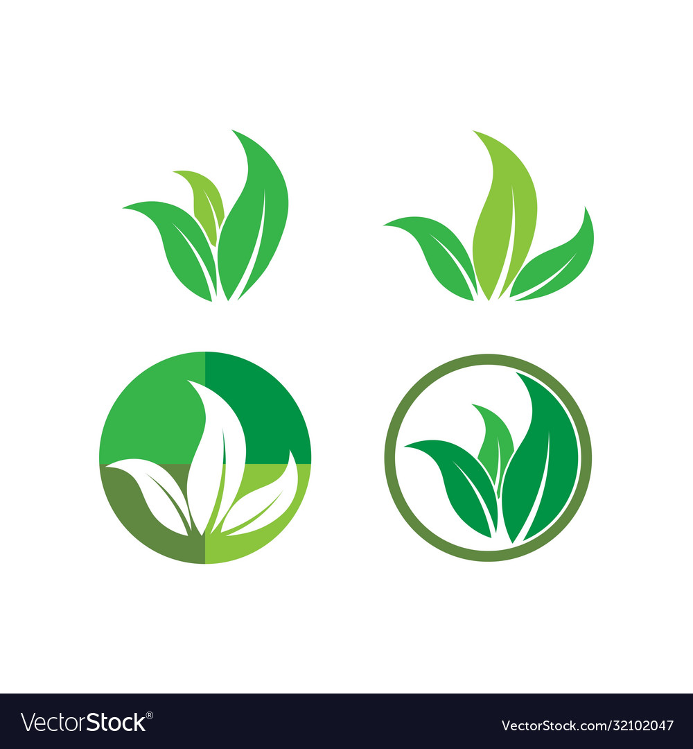 Green leaf logo Royalty Free Vector Image - VectorStock