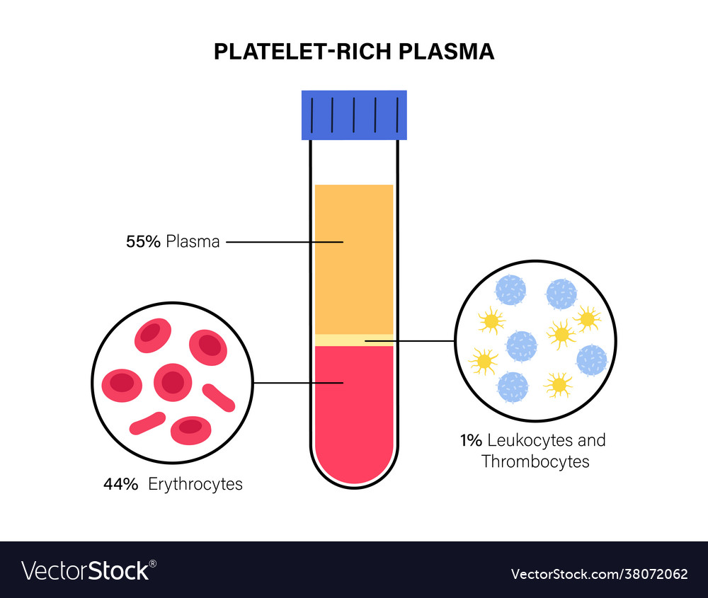 Plättchenreiches Plasmakonzept Lizenzfreies Vektorbild