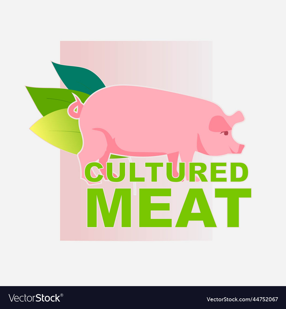 Cell cultured pork meat artificial lab grown Vector Image