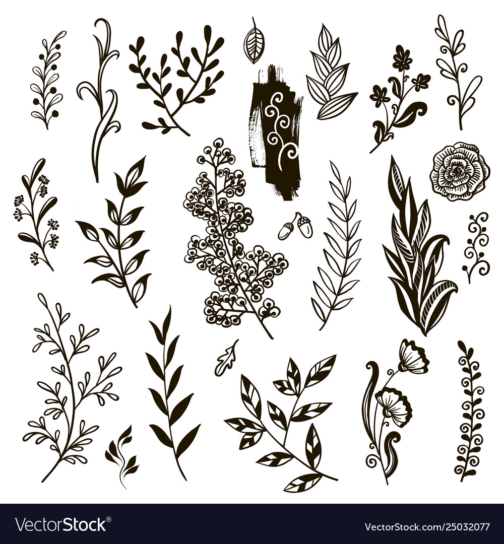 Plants Set Hand Drawn Royalty Free Vector Image