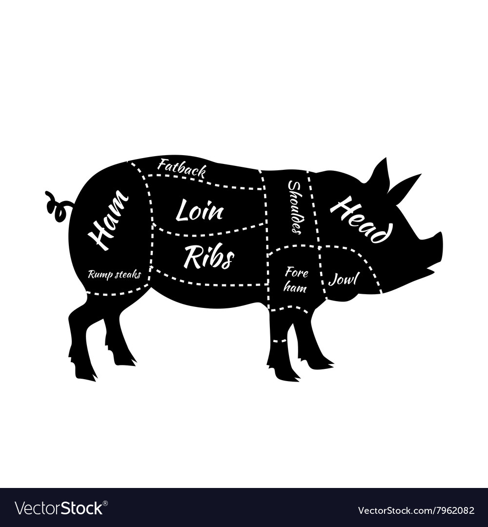 American us cuts of pork Royalty Free Vector Image