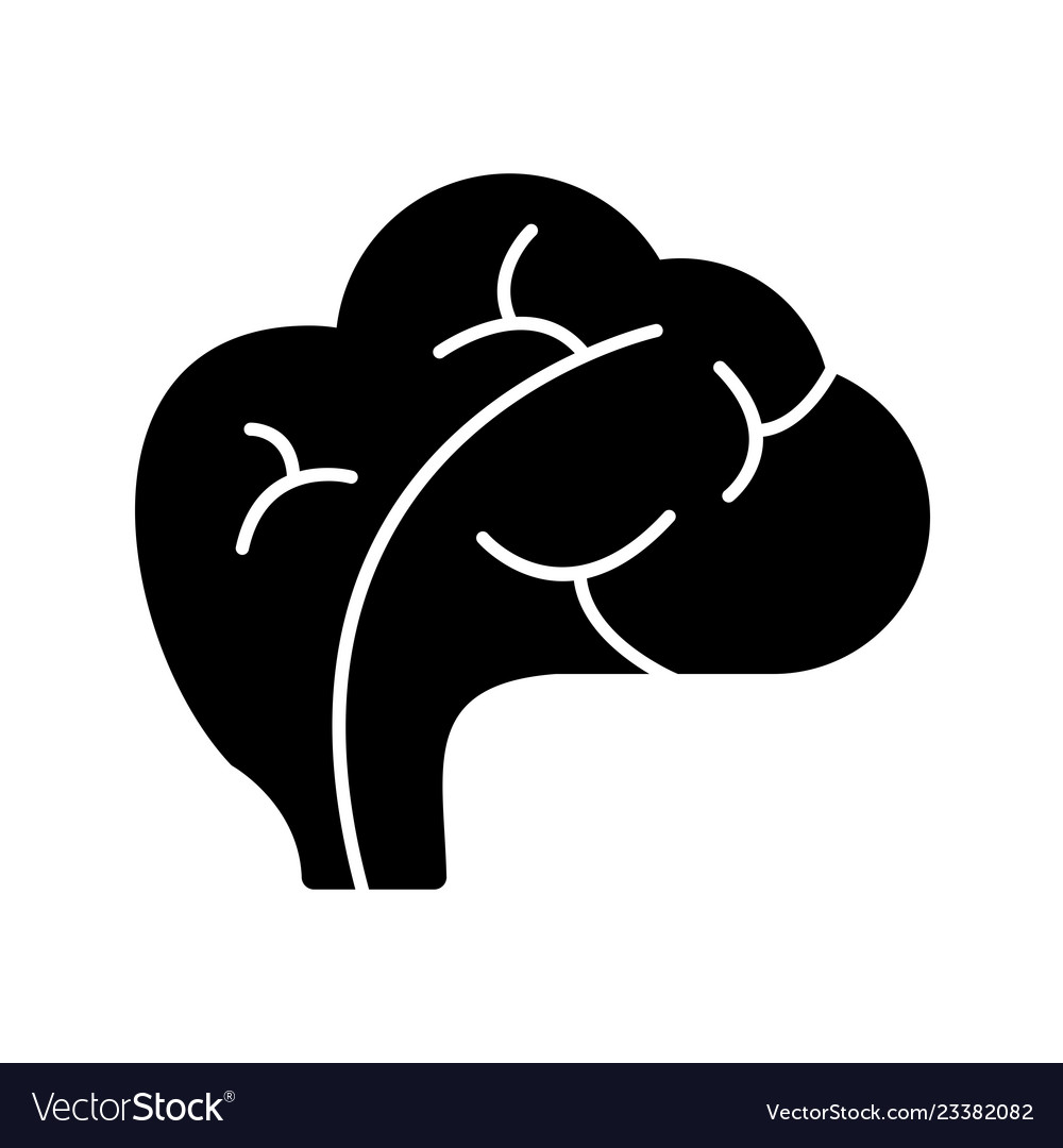 Brain icon Royalty Free Vector Image - VectorStock