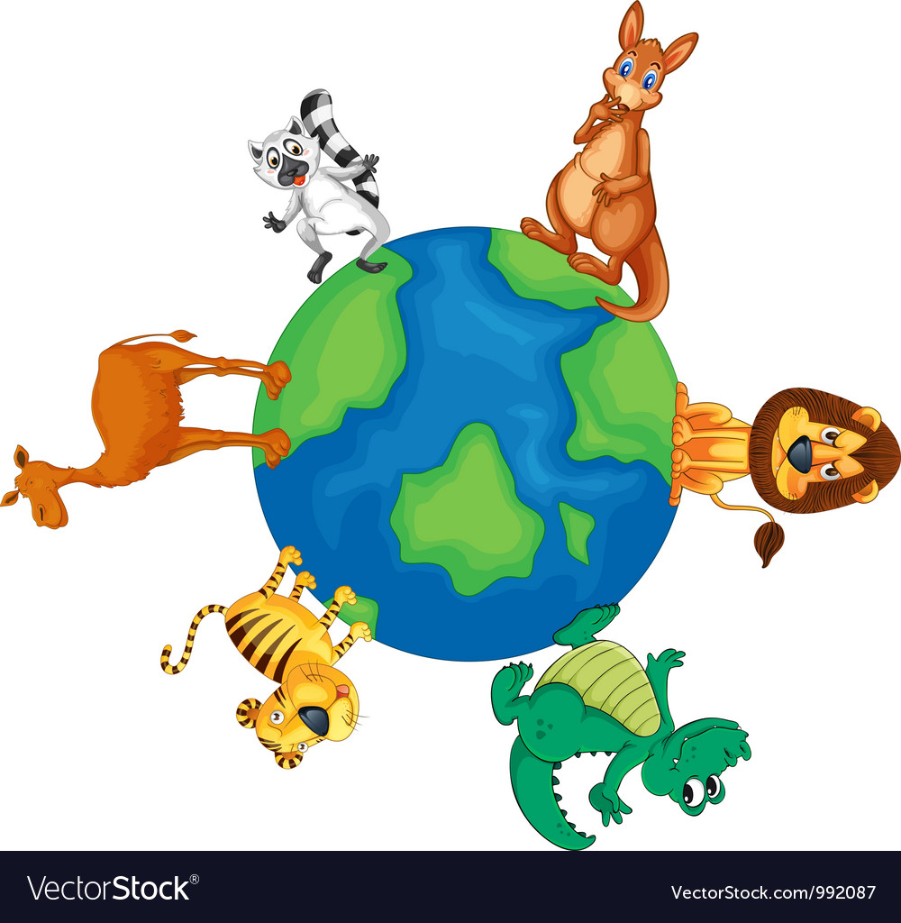 animals around the world