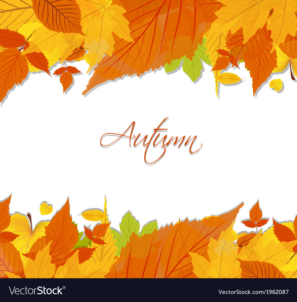 Autumn leaves background Royalty Free Vector Image