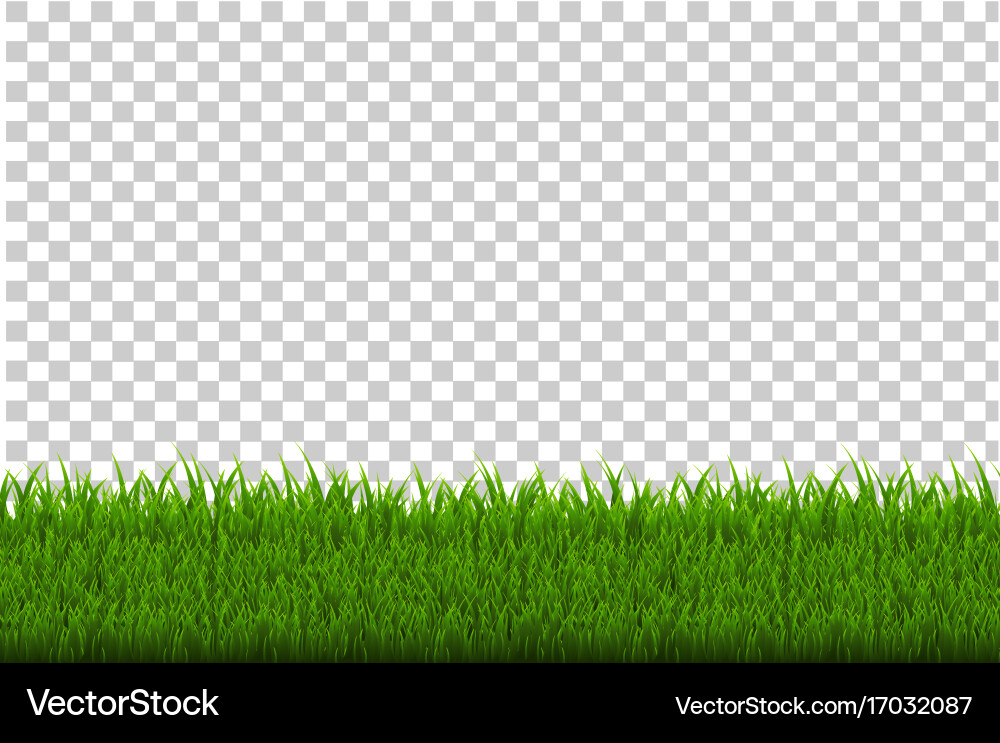 Green grass border Royalty Free Vector Image - VectorStock