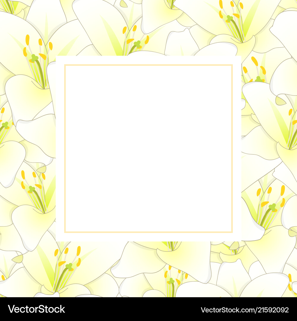 White lily flower banner card Royalty Free Vector Image