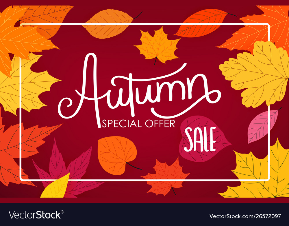 Autumn sale calligraphic logo with color fall Vector Image