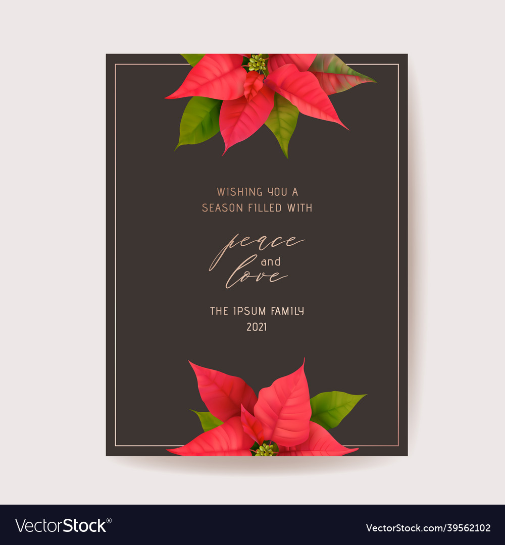 Poinsettia winter floral card christmas Royalty Free Vector