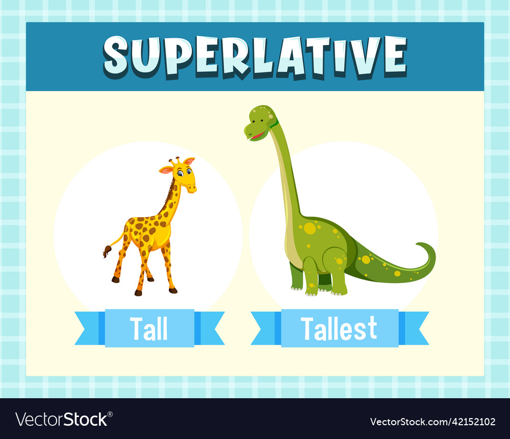 Superlative adjectives for word tall Royalty Free Vector Superlative adjectives for word tall Royalty Free Vector