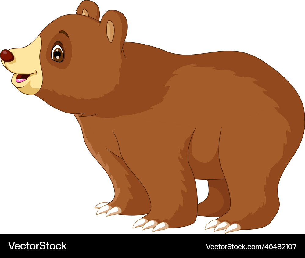 Cute brown bear cartoon posing Royalty Free Vector Image
