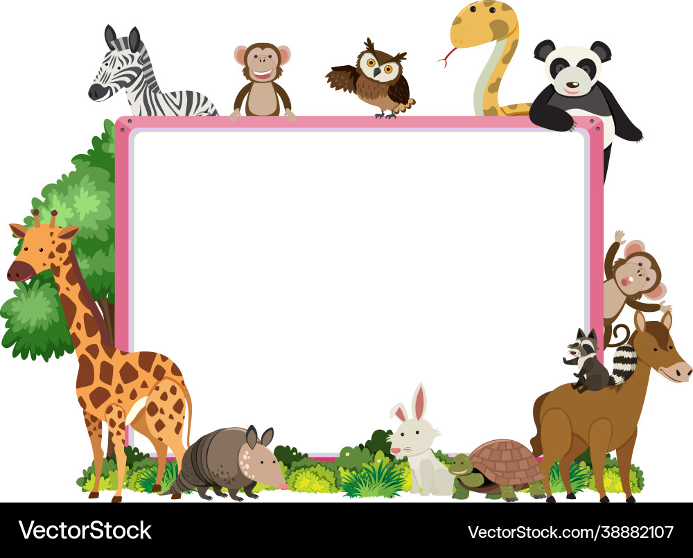 Empty banner with various wild animals Royalty Free Vector