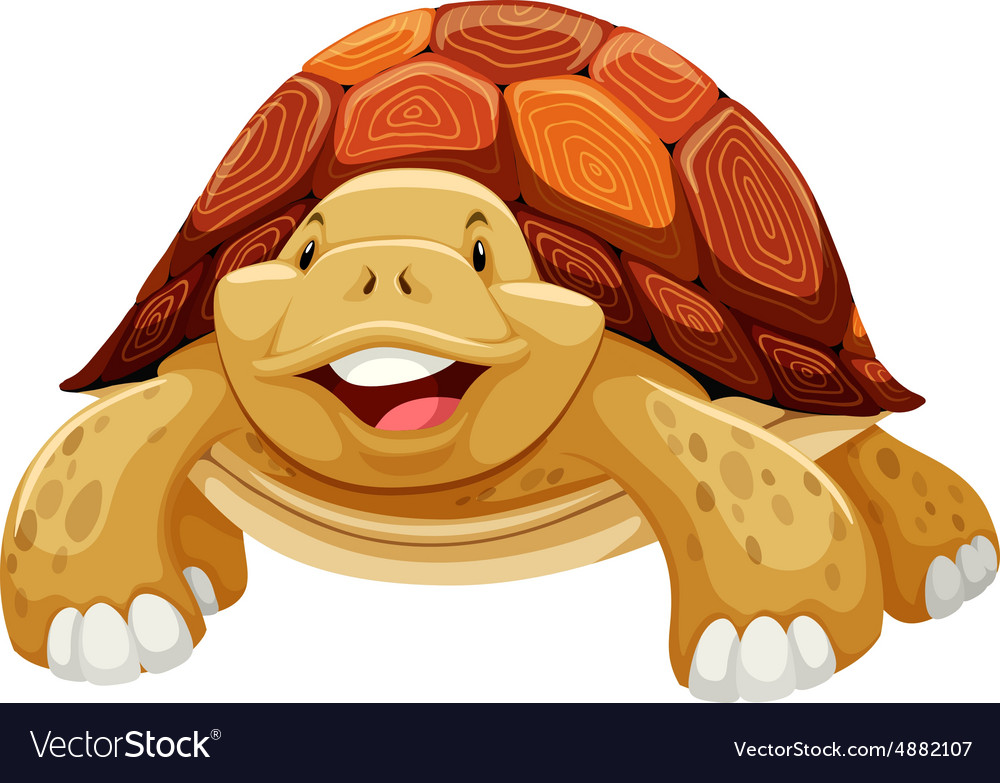 Turtle Royalty Free Vector Image - VectorStock