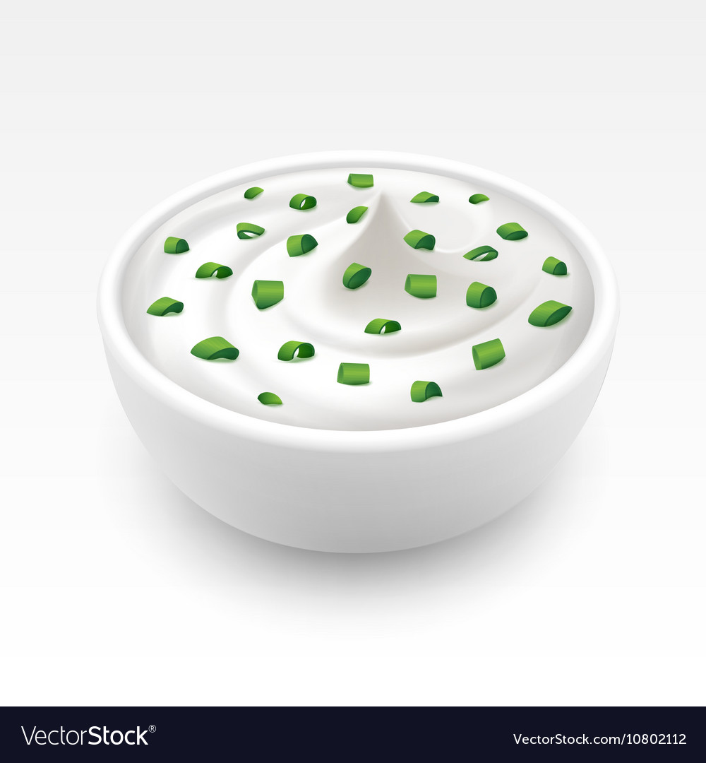 Bowl of Sour Cream Sauce Tartar with Onion Vector Image