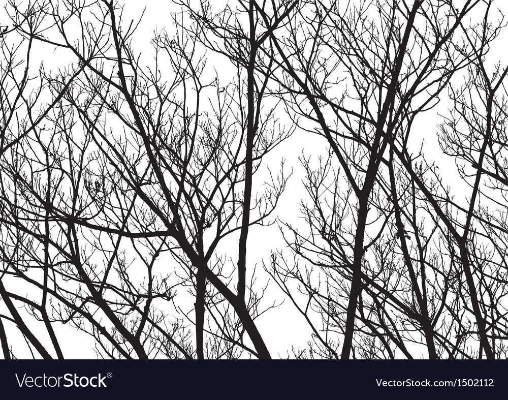 Tree Twigs Silhouette Royalty Free Vector Image