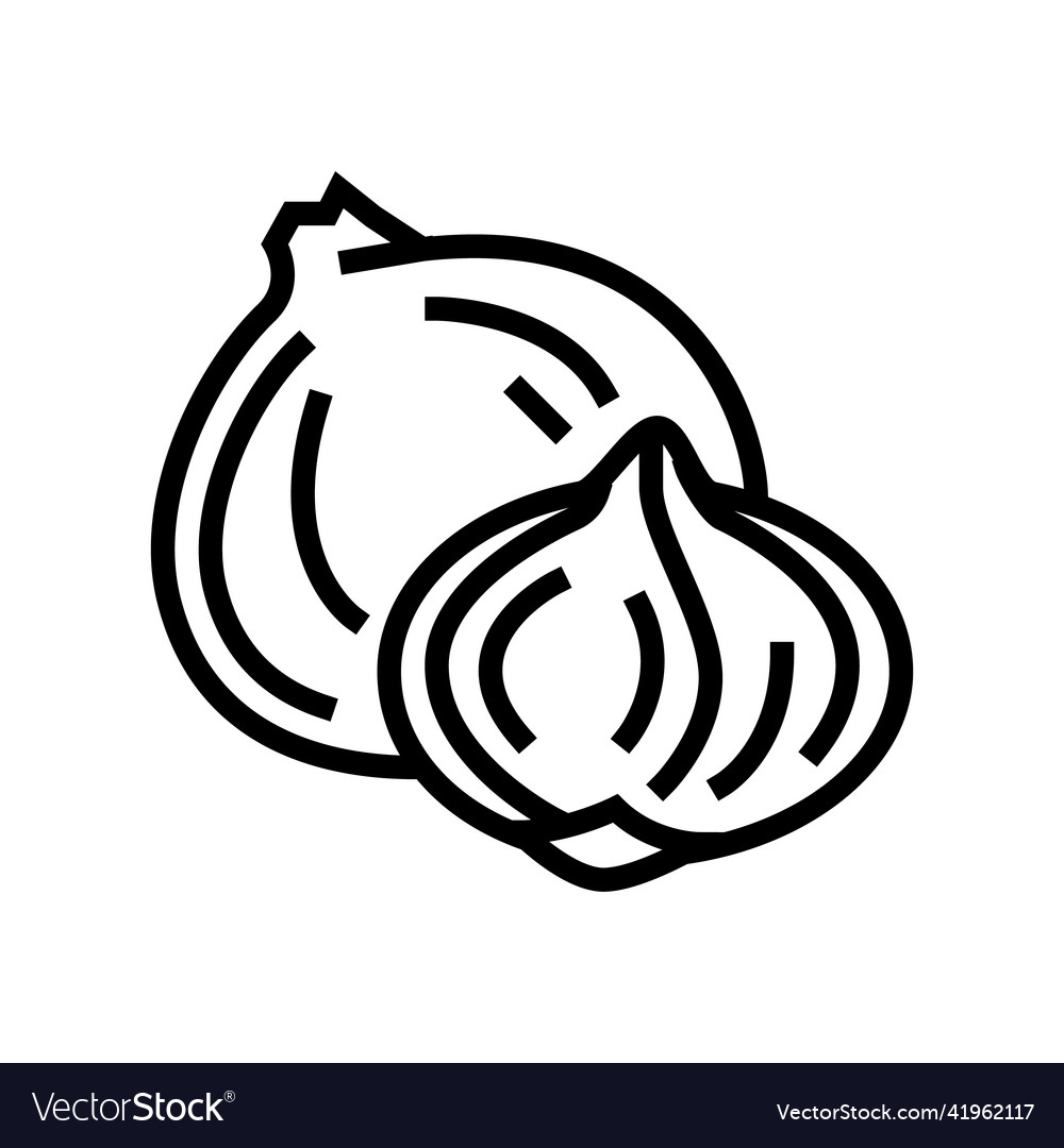 Purple onion line icon Royalty Free Vector Image