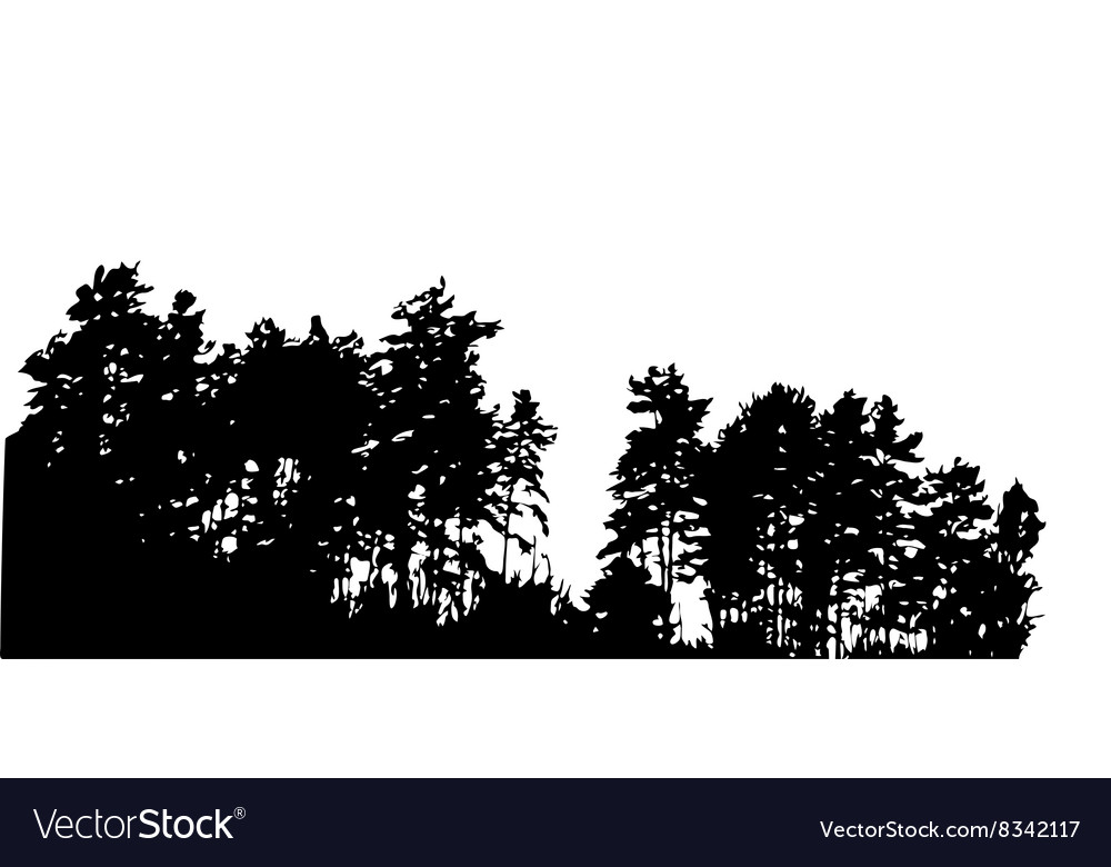 Tree silhouette isolated on white background Vector Image