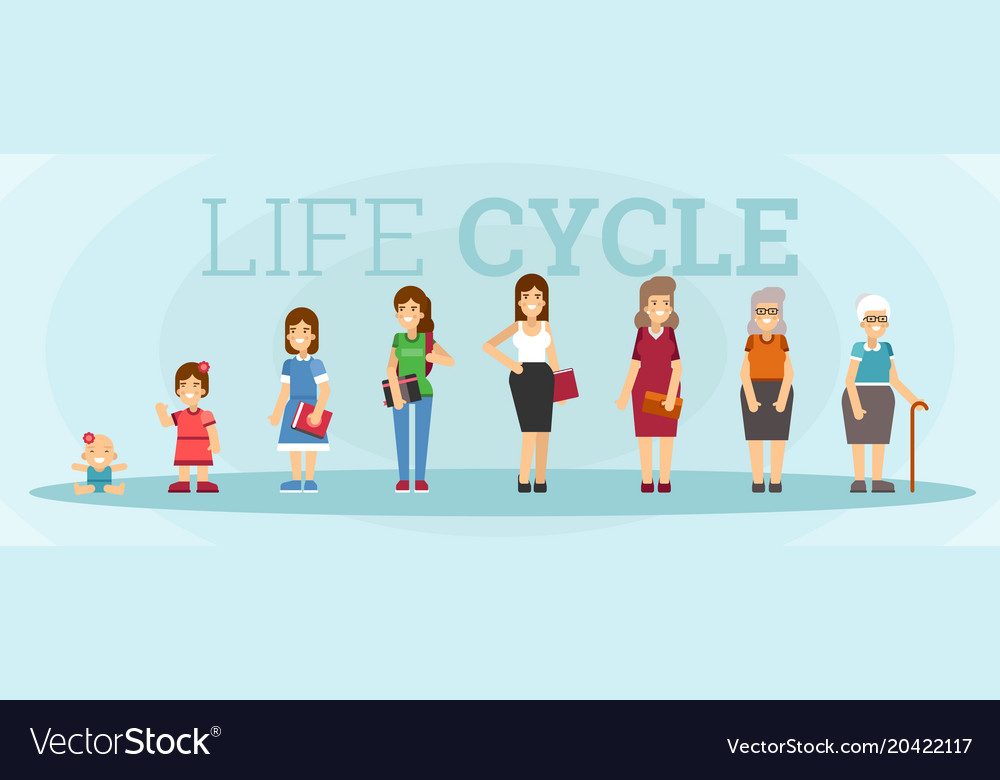 Woman character life cycle Royalty Free Vector Image