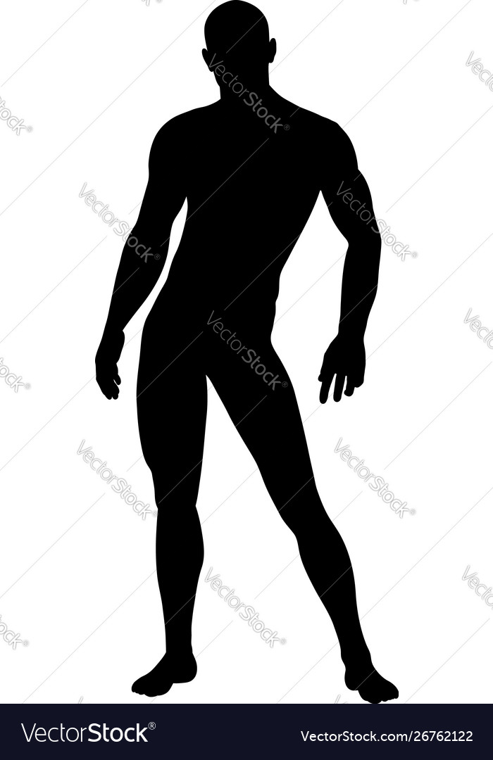 Standing pose man silhouette Royalty Free Vector Image