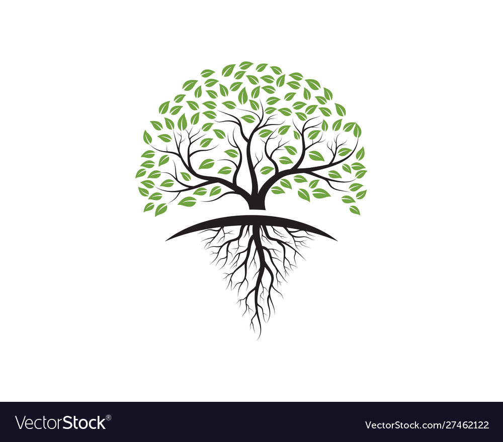 Tree icon logo template Royalty Free Vector Image